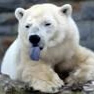 polarmike